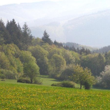 Ferienwohnung Erika Wimbach Dış mekan fotoğraf